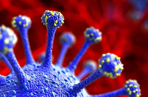 Dù biến thể AY.4.2 đang được theo dõi nhưng nó vẫn chưa được WHO phân loại là “biến thể đang được điều tra” hoặc “biến thể cần quan tâm” - nghĩa là nó chưa được xác định là có những thay đổi di truyền ảnh hưởng đến các đặc điểm của virus như khả năng lây truyền, mức độ nghiêm trọng của bệnh, “né” miễn dịch hoặc “né” chẩn đoán hoặc điều trị.