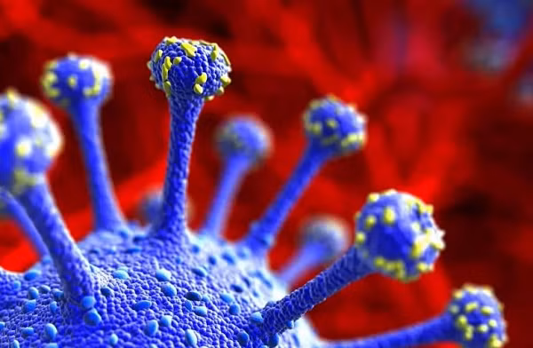 Dù biến thể AY.4.2 đang được theo dõi nhưng nó vẫn chưa được WHO phân loại là “biến thể đang được điều tra” hoặc “biến thể cần quan tâm” - nghĩa là nó chưa được xác định là có những thay đổi di truyền ảnh hưởng đến các đặc điểm của virus như khả năng lây truyền, mức độ nghiêm trọng của bệnh, “né” miễn dịch hoặc “né” chẩn đoán hoặc điều trị.