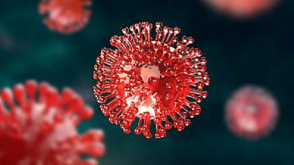 Cơ quan này đang theo dõi sát dòng phụ và phát hiện các đột biến ở protein gai (A222V và Y145H), vốn là công cụ cho phép virus Corona chủng mới xâm nhập tế bào người dễ hơn.