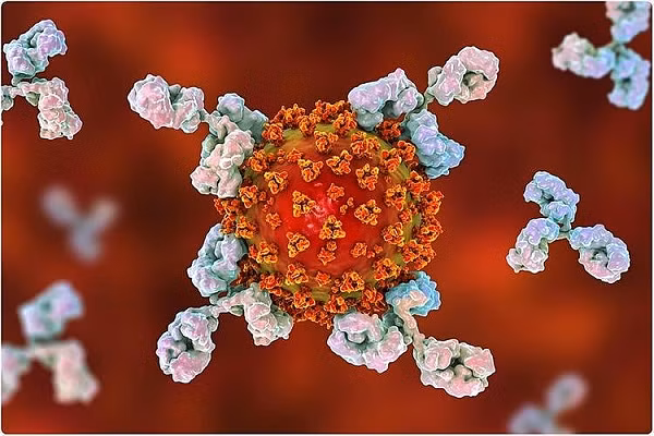 Nó ngăn protein gai liên kết với các tế bào có thụ thể ACE2 - vốn được virus SARS-CoV-2 dùng để xâm nhập và lây nhiễm cho các tế bào phổi. Nhờ vậy, kháng thể sẽ ngăn chặn quá trình sao chép virus, cho phép hệ thống miễn dịch của bệnh nhân loại bỏ SARS-CoV-2 khỏi cơ thể.