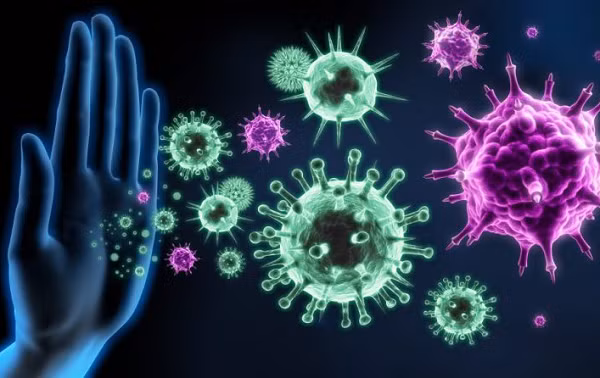 Phát hiện này là một lựa chọn điều trị dự phòng rất khả quan đối với những người có nguy cơ không xác định hoặc những người được tiêm vắc-xin nhưng không thể tạo ra phản ứng miễn dịch.