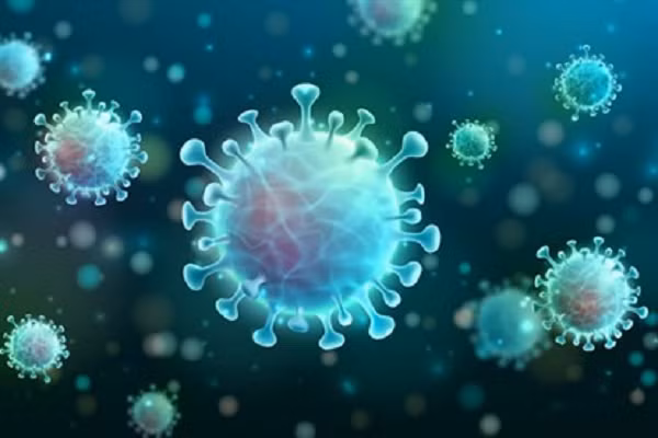 Những protein gai này là thứ giúp virus SARS-CoV-2 gắn vào thụ thể trên bề mặt tế bào vật chủ.