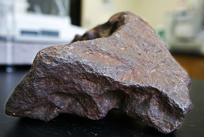 “Cơ hội trở thành một trong những người đầu tiên nhìn thấy và nghiên cứu một thiên thạch được phục hồi gần như ngay lập tức sau khi rơi là một giấc mơ thành hiện thực”, Ashley King, nhà lãnh đạo tương lai nghiên cứu và đổi mới của Vương quốc Anh, đồng nghiệp trong khoa khoa học trái đất tại Bảo tàng trên cho biết.