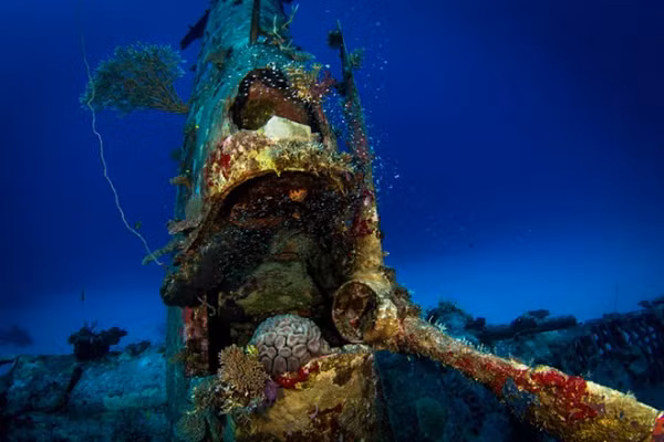 Trong khi đó, tại Mỹ, Phòng thí nghiệm Quốc gia Oak Ridge tập trung vào việc phát triển vật liệu có tên là HiCap, có thể chiết xuất uranium nhiều hơn từ năm đến bảy lần, nhanh hơn nhiều lần so với các phương pháp trước đây.