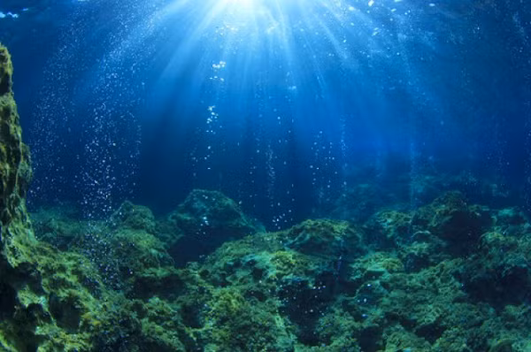 Trên thực tế, nghiên cứu để nắm được những khoáng chất và kim loại tồn tại ở nước biển nhưng việc khai thác toàn bộ những khoáng chất này lên vẫn còn hết sức gian nan. Thời gian qua, nhiều nhà nghiên cứu tiếp tục đưa ra các đề xuất để khai thác nguồn “kho báu” này. 