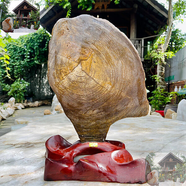 Gỗ hóa ngọc là một món quà quý giá từ thiên nhiên, kết tinh từ hàng triệu năm biến đổi địa chất. Với vẻ đẹp độc đáo và những giá trị phong thủy, sức khỏe mà nó mang lại, gỗ hóa ngọc xứng đáng được trân trọng và bảo tồn.(Ảnh: Nhà sàn)