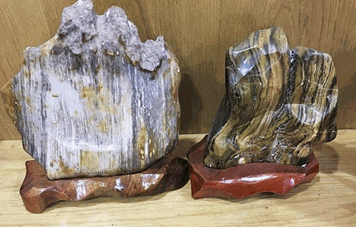 Gỗ hóa ngọc được hình thành từ những thân cây bị chôn vùi trong lớp trầm tích hoặc nham thạch núi lửa. Khi nước ngầm chảy qua lớp trầm tích, các khoáng chất chứa trong nước sẽ thẩm thấu vào các tế bào gỗ, thay thế dần dần các thành phần hữu cơ. Quá trình này diễn ra liên tục qua hàng triệu năm, biến gỗ thành đá nhưng vẫn giữ nguyên cấu trúc và hình dạng ban đầu.(Ảnh: Gỗ đỉnh)