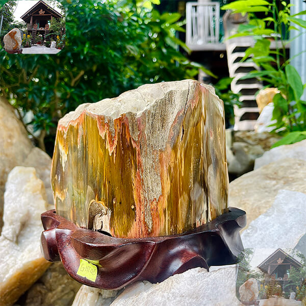 Gỗ hóa ngọc được sử dụng rộng rãi trong nhiều lĩnh vực. Trong trang trí nội thất, những khối gỗ hóa ngọc được cắt, mài, và đánh bóng để tạo ra các tác phẩm nghệ thuật độc đáo. Ngoài ra, gỗ hóa ngọc còn được chế tác thành các món trang sức như vòng tay, mặt dây chuyền, và nhẫn, mang lại vẻ đẹp sang trọng và quý phái.(Ảnh: Nhà sàn)