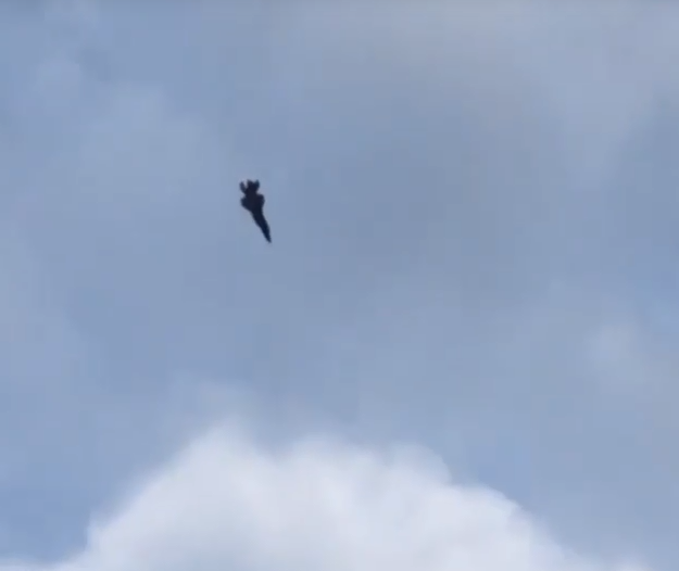 Sau khi rơi tự do chán chê chiếc F-35 mới cắm đầu lại xuống đất để bắt đầu lấy lại tốc độ và lực nâng. Nguồn ảnh: Ins.