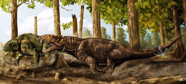 Điều này làm cho nó trở thành một trong những sinh vật cổ đại hiếm hoi và có niên đại lâu đời hơn cả khủng long hàng chục triệu năm.