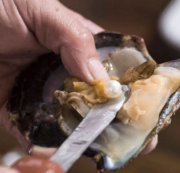 Quà trình này được lặp đi lặp lại đều đặn diễn ra trong nhiều năm để tạo thành ngọc trai. Có những viên trai biển mất hàng chục năm để hình thành, chúng sở hữu độ bóng cùng kích thước lớn.