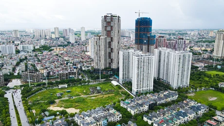 Cổ phiếu bất động sản 2025: Phân hóa mạnh, ông lớn bứt phá 