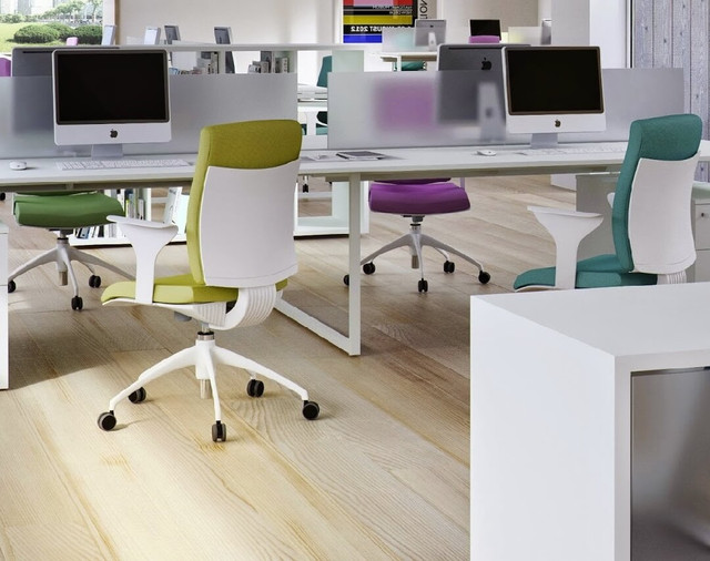 5 đại kỵ phong thuỷ văn phòng không nên phạm, coi chừng phá sản - Hình 7 5 dai ky phong thuy van phong khong nen pham, coi chung pha san-Hinh-7