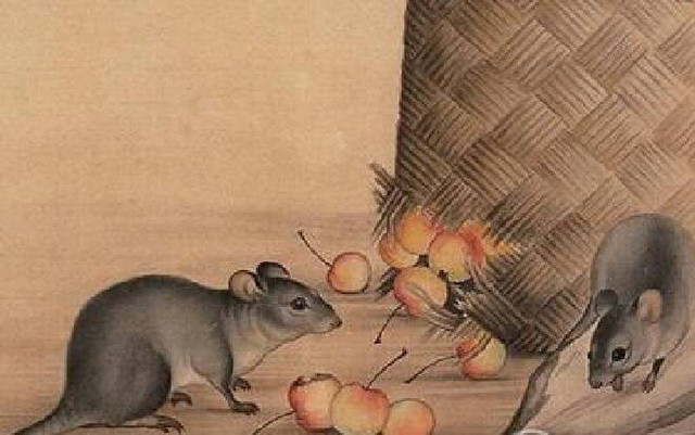 4 tuổi xấu nhất năm 2023: Hạn Tam tai lại phạm Thái Tuế 4 tuoi xau nhat nam 2023: Han Tam tai lai pham Thai Tue