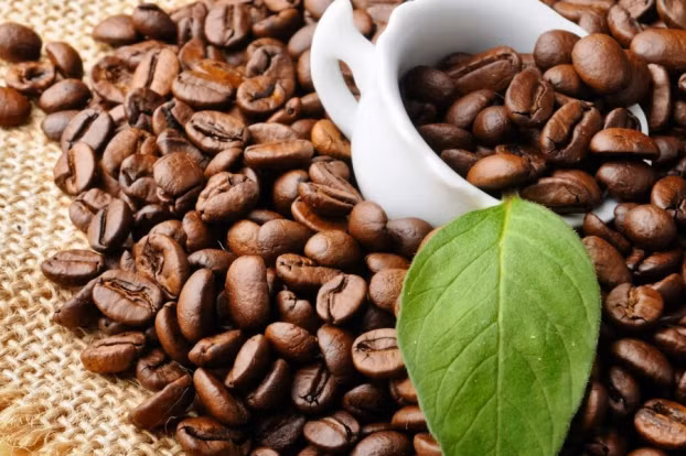 Gia ca phe hom nay 8/10: Gia giam xuong day, con 31.600 dong/kg-Hinh-2