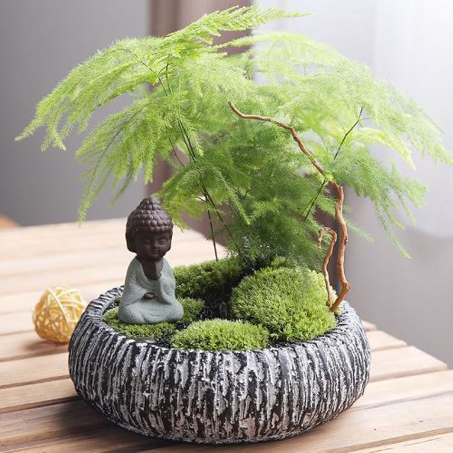 4 loại cây trồng trong nhà vừa thanh lọc không khí, lại tiết kiệm tiền điện - Hình 3 4 loai cay trong trong nha vua thanh loc khong khi, lai tiet kiem tien dien-Hinh-3