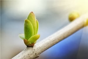 Ảnh minh họa. Ảnh minh họa.