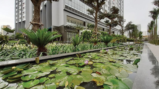 Chủ đầu tư Green Pearl Minh Khai: Chúng tôi bị kẹt ở giữa Chu dau tu Green Pearl Minh Khai: Chung toi bi ket o giua