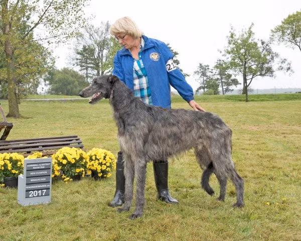 Nhung giong cho to nhat qua dat-Hinh-13