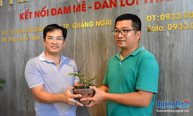 Phi vụ kinh điển, giò lan phi điệp đột biến mua 13 triệu bán 580 triệu Phi vu kinh dien, gio lan phi diep dot bien mua 13 trieu ban 580 trieu