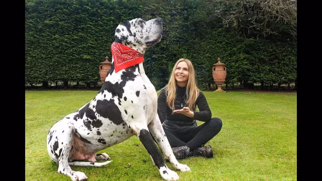 Nhung giong cho to nhat qua dat-Hinh-16