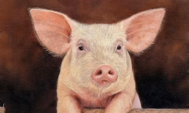 4 con giap van khi khoi sac, phat nhu dieu gap gio trong thang 7 toi-Hinh-4