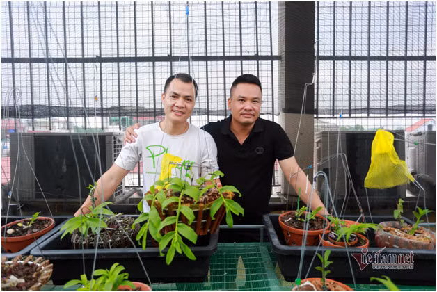 Lieu bo 400 trieu choi lan, doi ban than Ha Noi co gia vai chuc ty