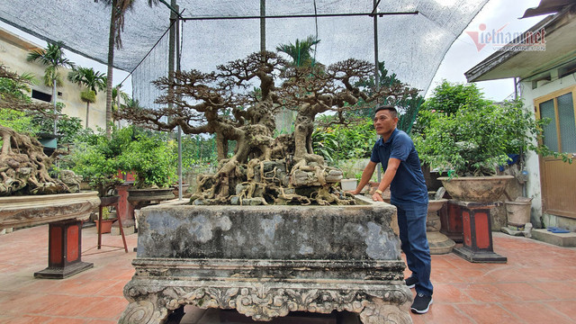 Chàng trai cả tuổi thơ mò cua bắt ốc nay có 'Ngai vàng đất Việt' chục tỷ Chang trai ca tuoi tho mo cua bat oc nay co 'Ngai vang dat Viet' chuc ty