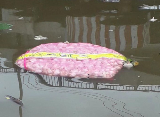 Hàng tấn tỏi gắn mác Trung Quốc trôi trên sông, khuyến cáo không được ăn Hang tan toi gan mac Trung Quoc troi tren song, khuyen cao khong duoc an