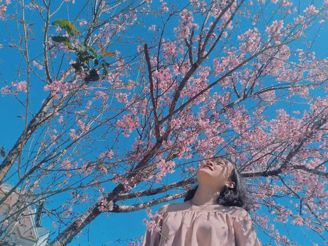 Tet Nguyen dan 2023 di choi dau o mien Nam?-Hinh-4