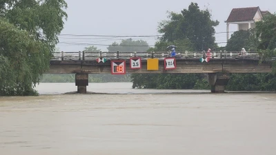 Gần 67.000 hộ dân ở Đà Nẵng bị ngập do mưa lớn