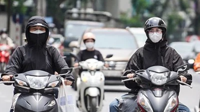 Thời tiết Bắc Bộ và Trung Bộ ngày 19/1: Mưa nhẹ, trời nắng, rét đậm về đêm