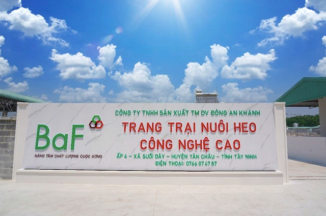 BAF Việt Nam thừa nhận sai sót, lượng cổ phiếu ESOP 'ế' tăng vọt BAF Viet Nam thua nhan sai sot, luong co phieu ESOP 'e' tang vot