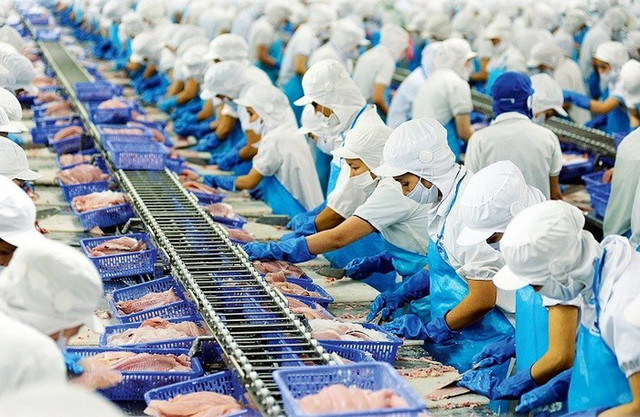 Vĩnh Hoàn đã bán sạch cổ phiếu CTG Vinh Hoan da ban sach co phieu CTG