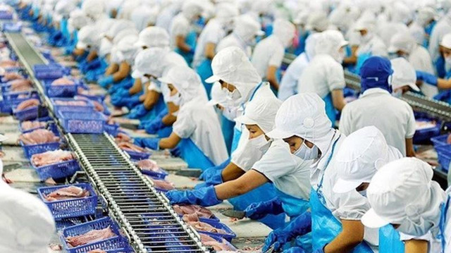 Vĩnh Hoàn có thể lãi 16 tỷ đồng từ việc bán 1,4 triệu cổ phiếu quỹ Vinh Hoan co the lai 16 ty dong tu viec ban 1,4 trieu co phieu quy