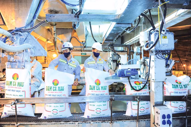 Nha may bao duong, luong ure cua Dam Ca Mau giam 52% trong thang 8