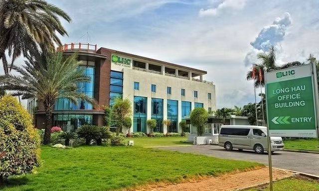 Long Hau (LHG) an dinh ngay chot so co tuc nam 2023