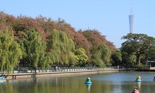 Trước Ngọc Miu, Dương Văn Kính còn đưa hotgirl này vào tù vì ma túy - Hình 35 Truoc Ngoc Miu, Duong Van Kinh con dua hotgirl nay vao tu vi ma tuy-Hinh-35