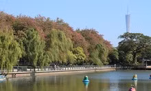 Truoc Ngoc Miu, Duong Van Kinh con dua hotgirl nay vao tu vi ma tuy-Hinh-35