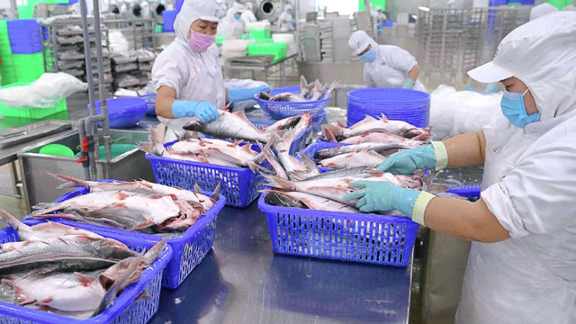 Nam Việt (ANV) tăng vốn gấp đôi, hướng tới quy mô 2.666,7 tỷ đồng Nam Viet (ANV) tang von gap doi, huong toi quy mo 2.666,7 ty dong