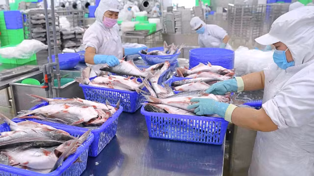 Nam Viet (ANV) tang von gap doi, huong toi quy mo 2.666,7 ty dong