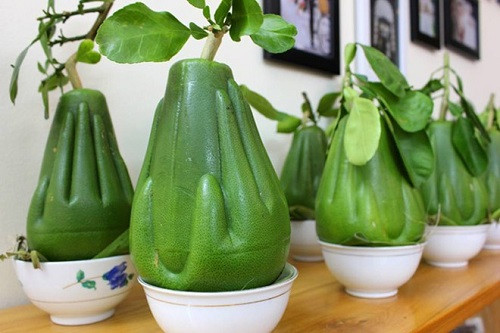 Bưởi bàn tay Phật: Hàng độc, giá có cao? Buoi ban tay Phat: Hang doc, gia co cao?