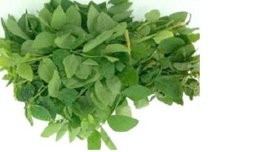 Rau ngót giàu vitamin nhóm B, nhiều đạm, vitamin C và beta carotene. Lượng vi chất này sẽ được chuyển hóa trong cơ thể thành vitamin A giúp mắt bé thêm tinh anh và có sức khỏe tốt.