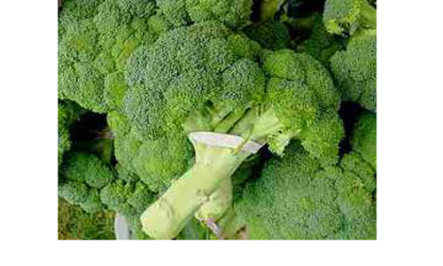 Là loại rau chứa nhiều chất chống oxy hóa giúp giảm nguy cơ mắc bệnh dạ dày, phổi và ung thư đường ruột. Ngoài ra đây còn là “ngân hàng” dồi dào beta carotene (chất tiền vitamin A), vitamin C và folate giúp tăng cường hệ miễn dịch của cơ thể trước các bệnh cảm lạnh và cúm.