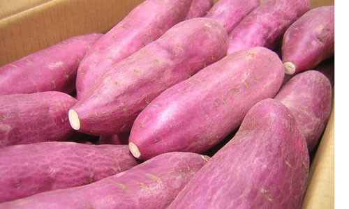 Khoai là nguồn cung cấp vitamin A, C, Kali, chất xơ và cả beta-carotene giúp cho sự phát triển trí não, hệ thần kinh vượt trội của bé.