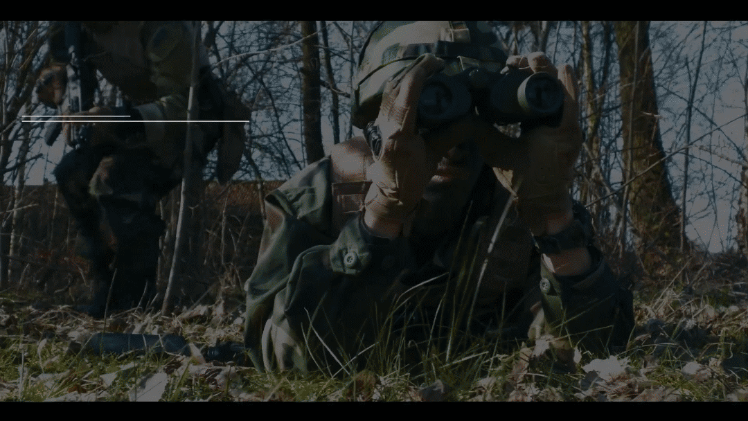 Nó còn đi xa hơn bằng cách mô tả chi tiết cấu hình giáp như độ dày, thành phần, bố trí giáp dạng lưới, các mô-đun phản ứng và hệ thống bảo vệ chủ động.