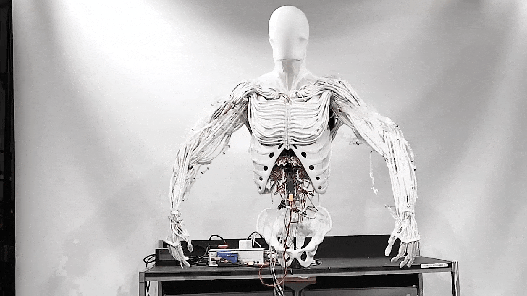 Khi nước hoặc dầu thủy lực được bơm vào, áp suất sẽ làm ống cao su phình to, nhưng do bị lớp lưới bên ngoài giới hạn đường kính, khối cơ này buộc phải co lại theo chiều dọc.