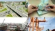 Giải ngân vốn đầu tư công 2 tháng đầu năm 2026 đạt hơn 55,7 nghìn tỷ đồng