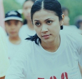 Nghi án phim giả tình thật nhiều lần được dấy lên sau mỗi lần Việt Tinh và Lý Hùng hoàn thành một bộ phim. Tuy nhiên, cả hai chưa một lần giải thích hay phủ nhận. Ở thời kỳ đỉnh cao, Việt Trinh được không ít đại gia chú ý nhưng cũng giống như Diễm Hương, đường tình của cô rất lận đận. Sau mối tình trái ngang với đại gia Phạm Huy Phước, cô lại rơi vào lưới tính với một đại gia khác là Trần Văn Giao. Cả Phước và Giao đều sa lưới pháp luật khiến người đẹp lao đao một thời.