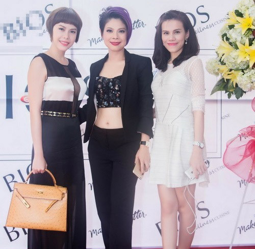 Khác với vẻ tròn trịa của chị gái, Thụy Anh có vẻ ngoài mong manh và gương mặt hốc hác. Cô từng gia nhập làng giải trí với tư cách ca sĩ và được Thanh Thảo lăng xê tích cực nhưng vẫn không thành công. Giờ đây, Thụy Anh không còn tìm kiếm cơ hội nổi tiếng, cô trở thành bầu show và quán xuyến mọi hoạt động của chị gái.